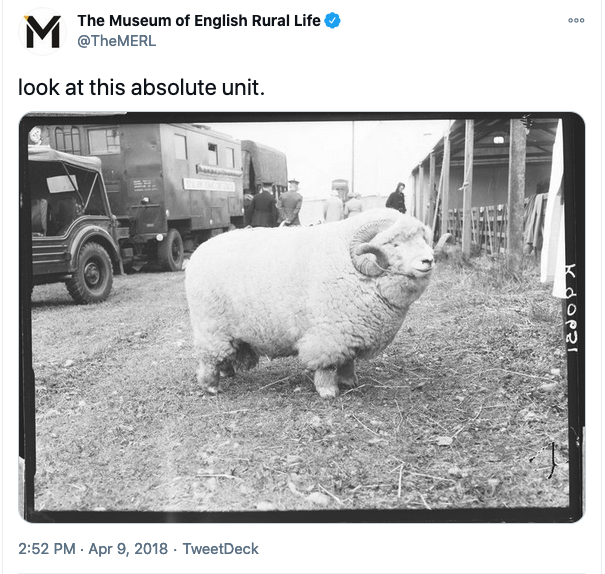 Absolute unit.png