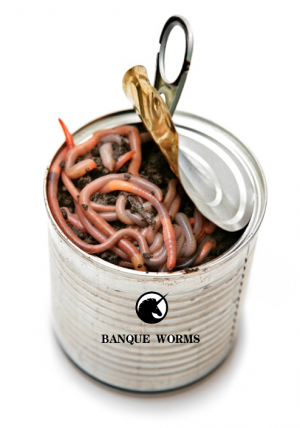 Can of Banque Worms.png